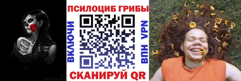 купить  сайты  Аша  Псилоцибиновые грибы ЛСД 