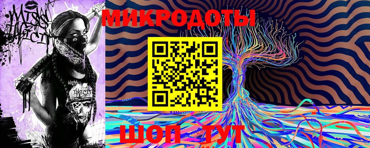 Галлюциногенные грибы Psilocybe Аша