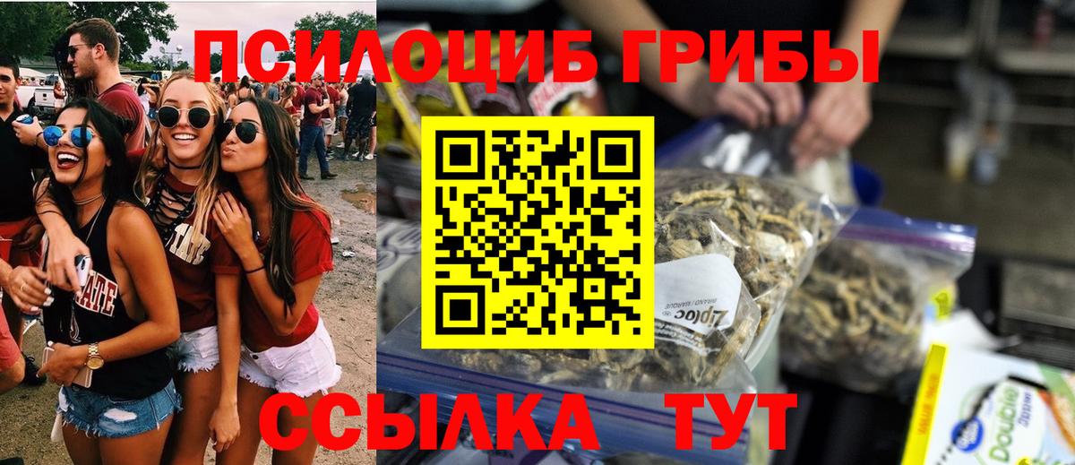 Аша  Псилоцибиновые грибы GOLDEN TEACHER  Вход с VPN 